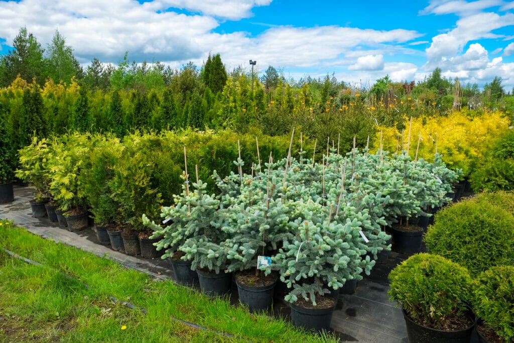 Breaking Ground Farm & Nursery Gardening Section