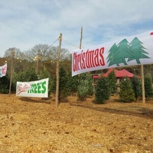 Seasonal Christmas Tree